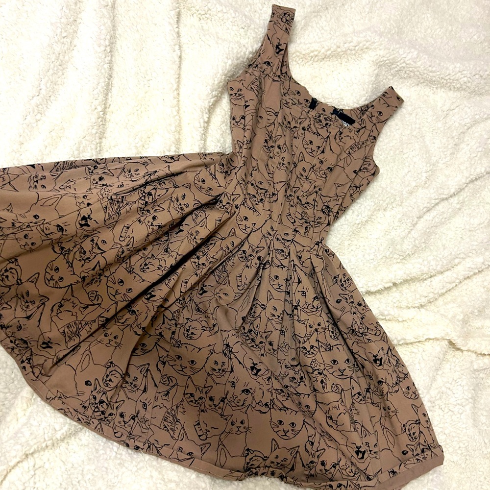 New Size Small cats, cats cats